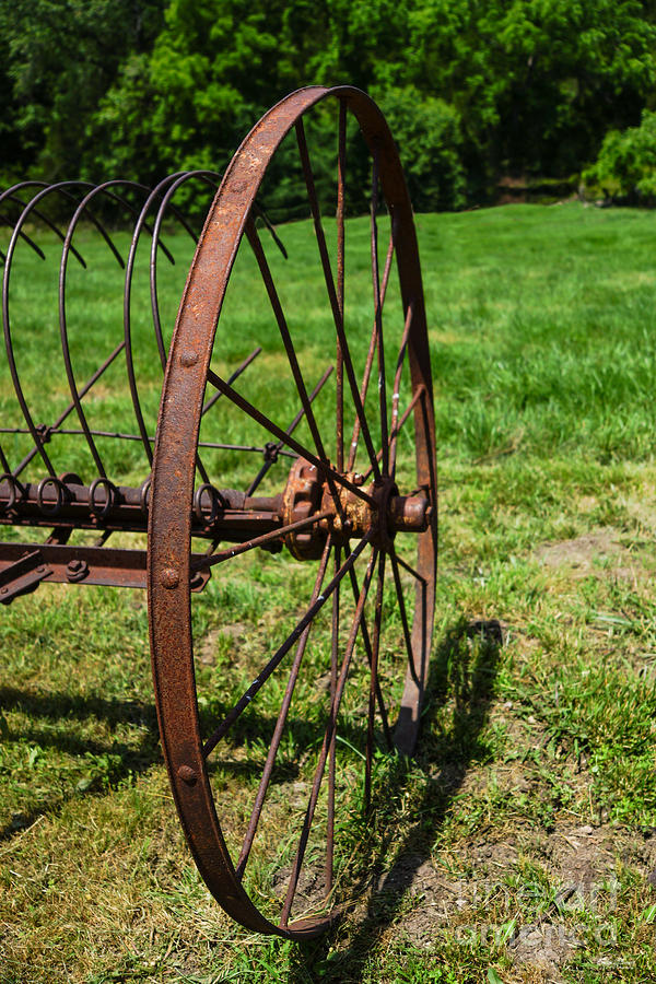 Hay Rake Wheel Photograph by Jennifer White