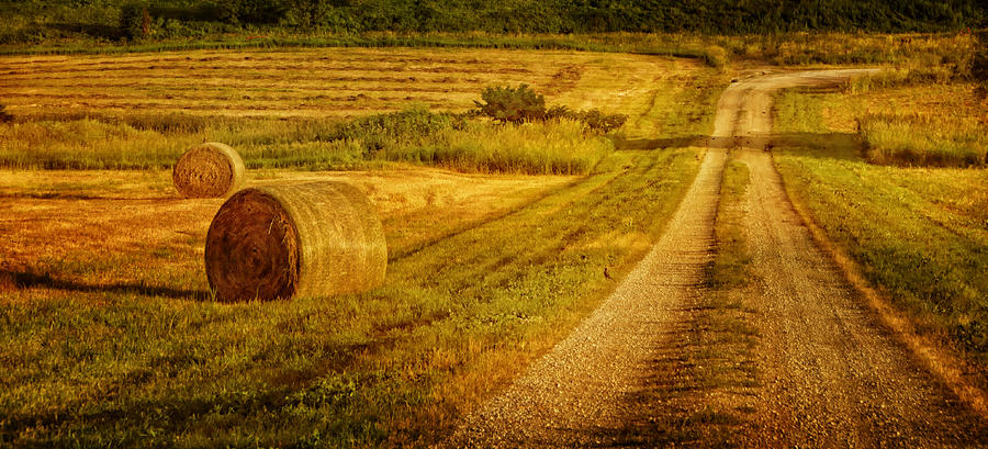 Hay Rolls - Country Road Photograph by Nikolyn McDonald