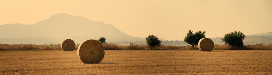Cereal Photograph - Hay Rolls  by Stelios Kleanthous