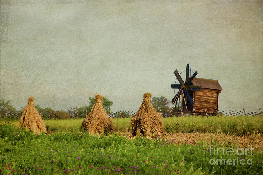 Hay Stacks Photograph by Elena Nosyreva