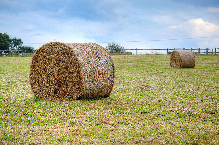 Hay stacks on a field Photograph by Zita Stankova Fine Art America