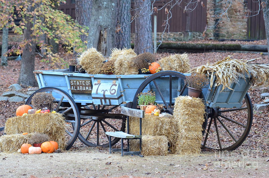 Hay Wagon of Tannehill Park Photograph by Maria Urso