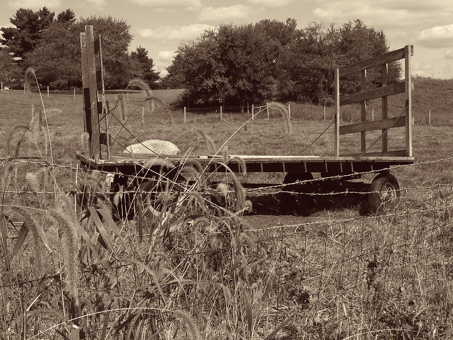 Hay Wagon Photograph by Scott Kingery
