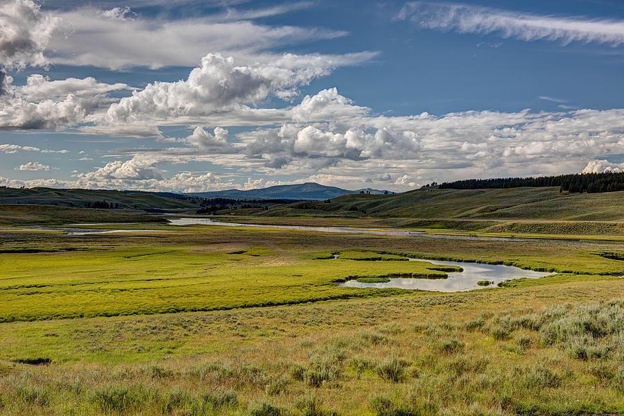 Yellowstone National Park Photograph - Hayden Valley by Angie Precure