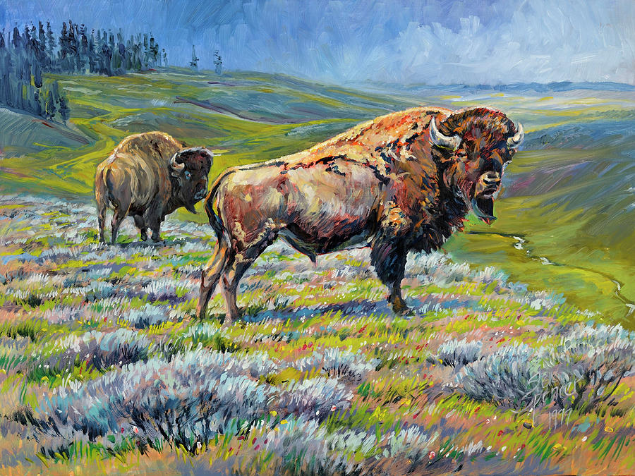 Hayden Valley Bulls Painting by Steve Spencer