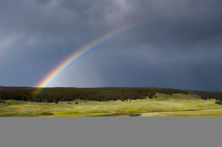 Yellowstone National Park Photograph - Hayden Valley Rainbow by Chad Davis