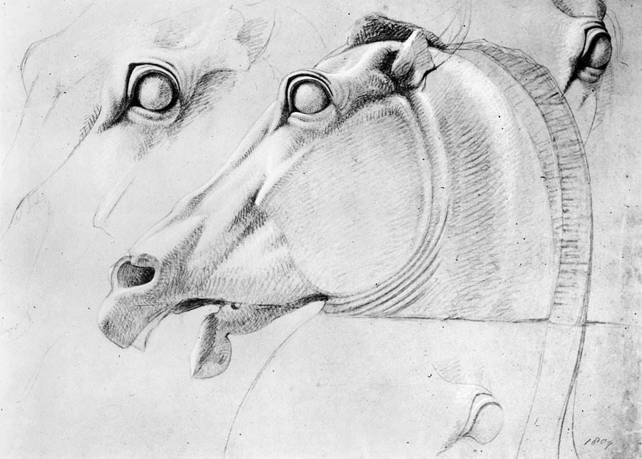 Haydon: Horse, 1809 Photograph by Granger
