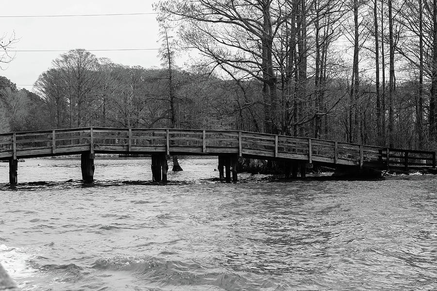 Hayes Farm Bridge Photograph