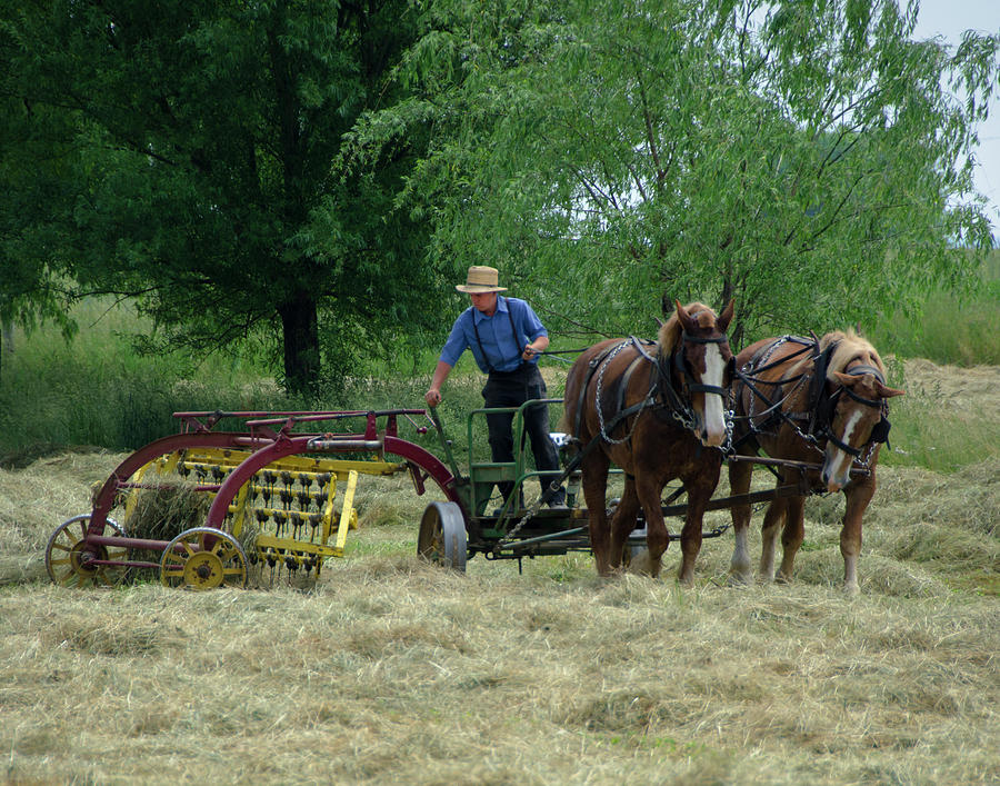 Haying Time Photograph by Eleanor Bortnick - Fine Art America