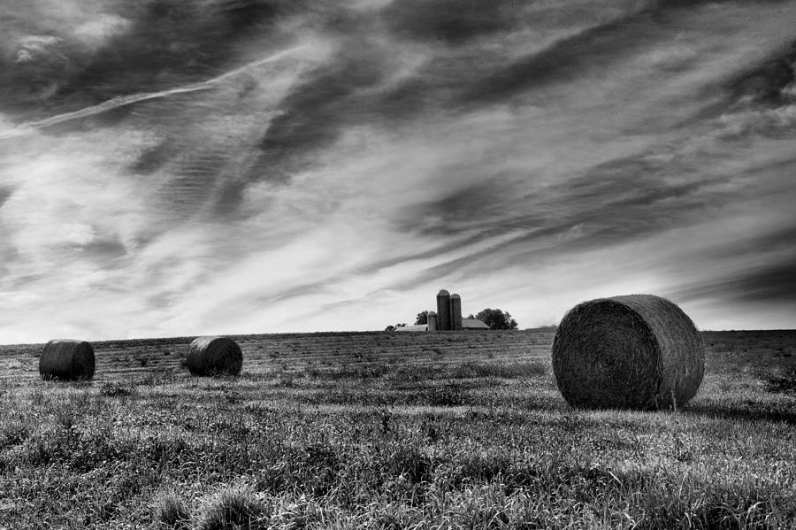 Hayrolls and Field Photograph by Steven Ainsworth