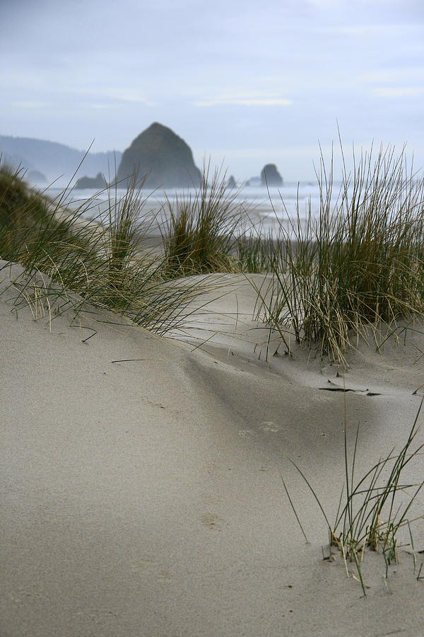 Haystack Rock from Chapman Point Photograph by Steven A Bash