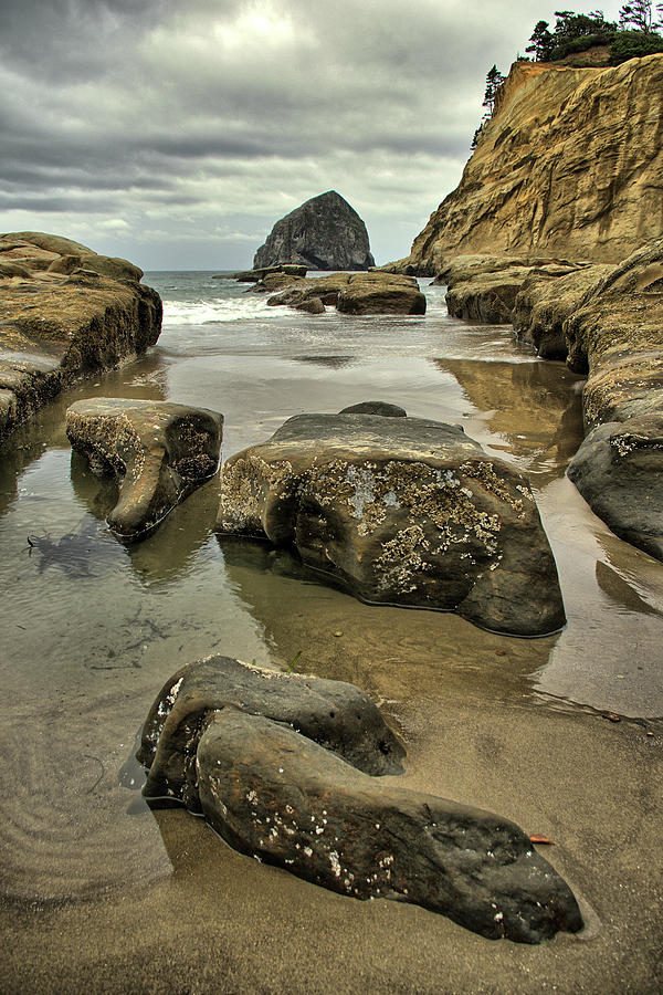 Haystack Rock, Pacific City, OR Photograph by Jedediah Hohf