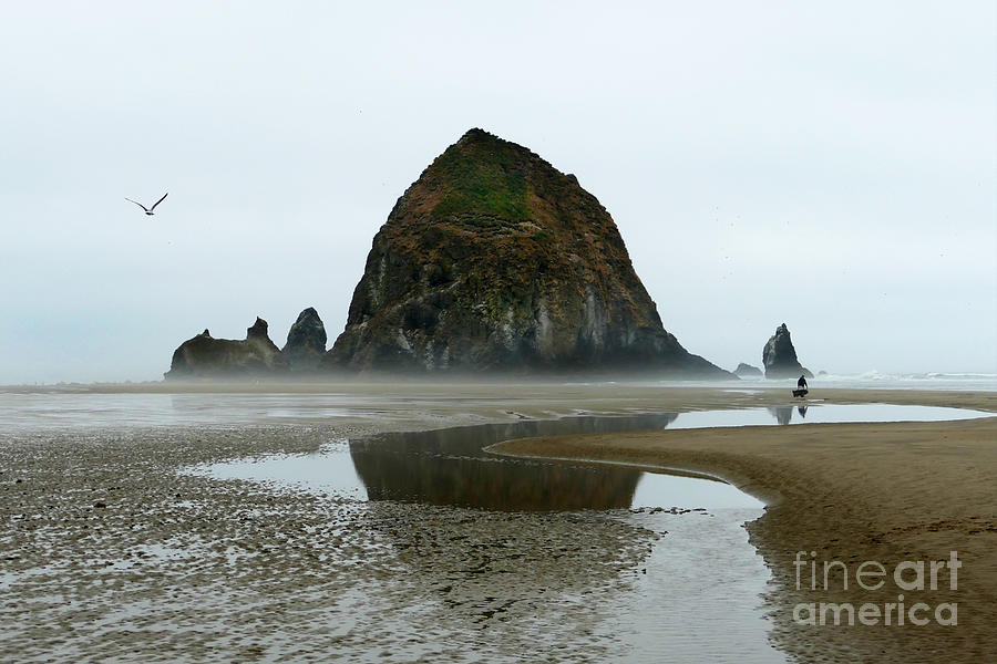 Haystack Rock Reflection Photograph by Catherine Sherman