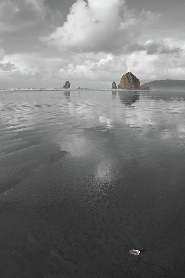 Haystack Shell Photograph by Dylan Punke