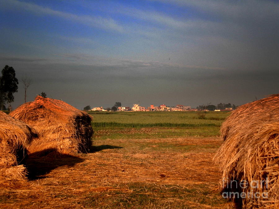 Haystacks and Village Mutran Photograph by Padamvir Singh