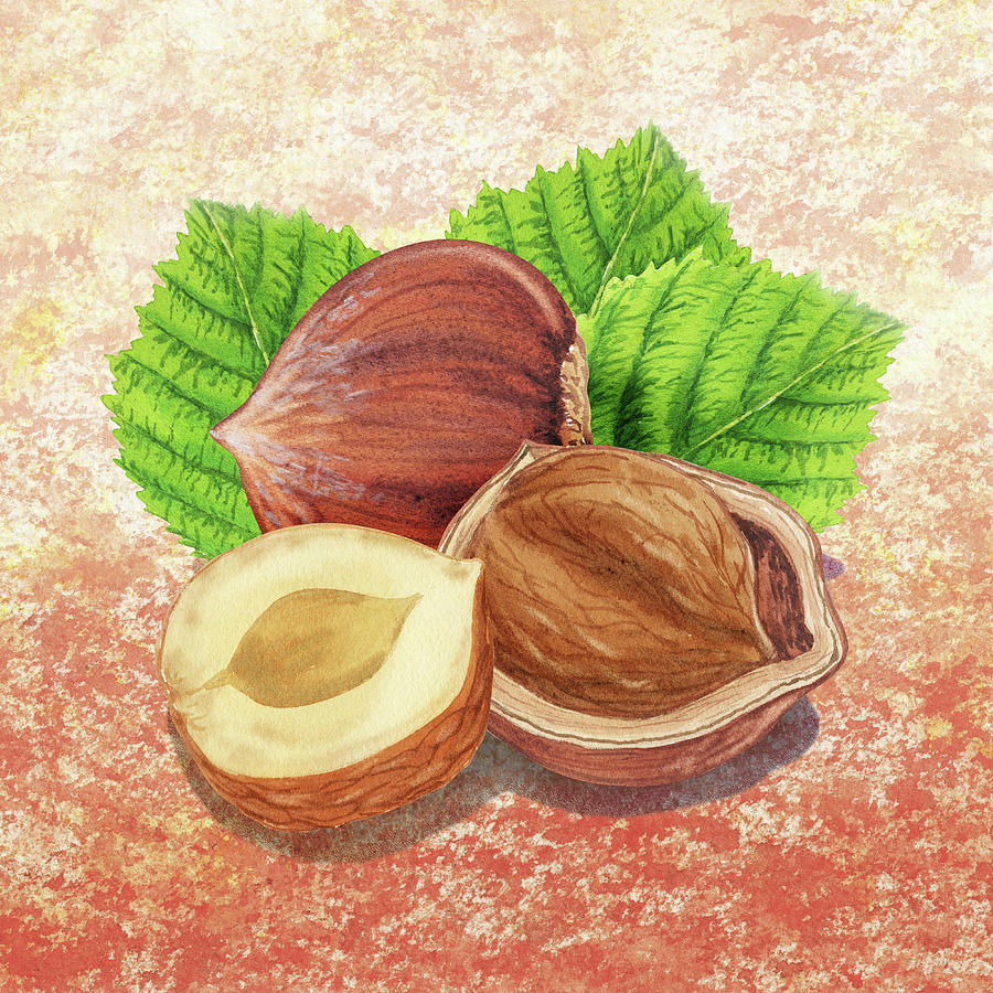 Hazelnut Painting by Irina Sztukowski