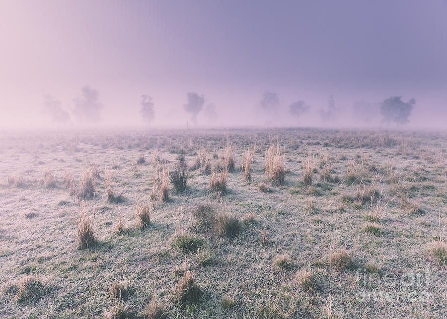 Hazy Australian winter scene Photograph by Jorgo Photography