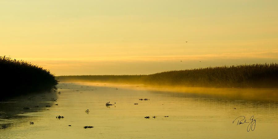 Beach Photograph - Hazy Dawn Mississippi River Delta Louisiana by Paul Gaj