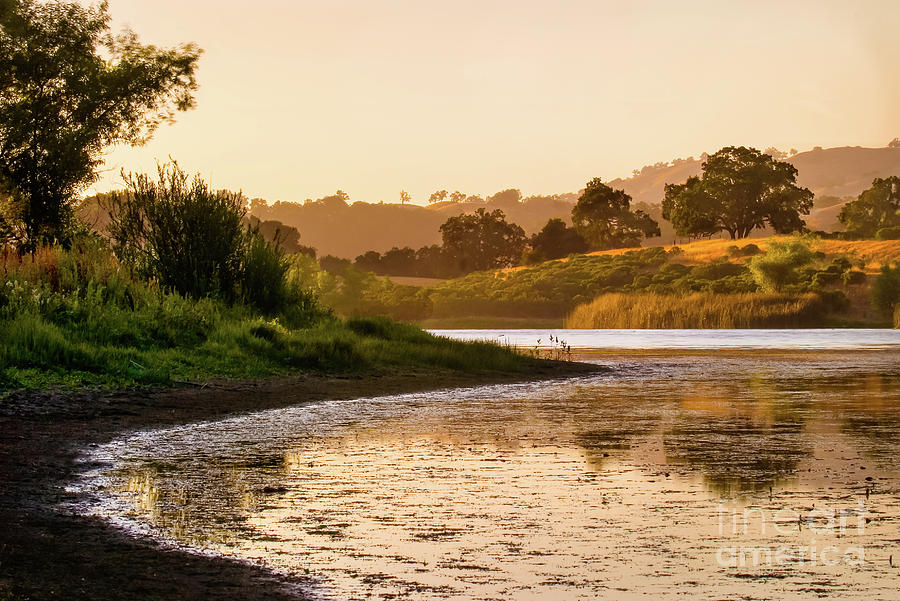 Nature Photograph - Hazy Days of Summer 1 by Dean Birinyi