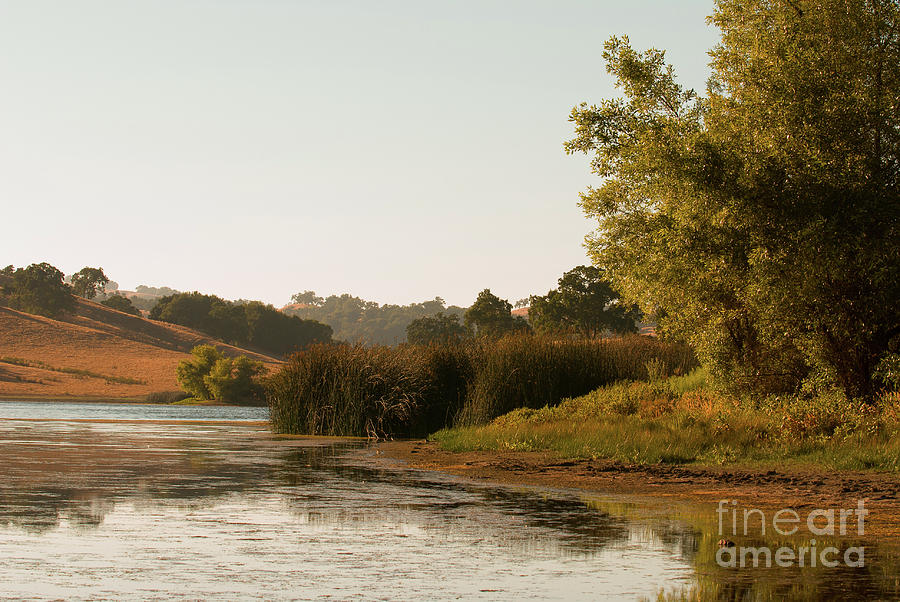 Hazy Days of Summer 2 Photograph by Dean Birinyi