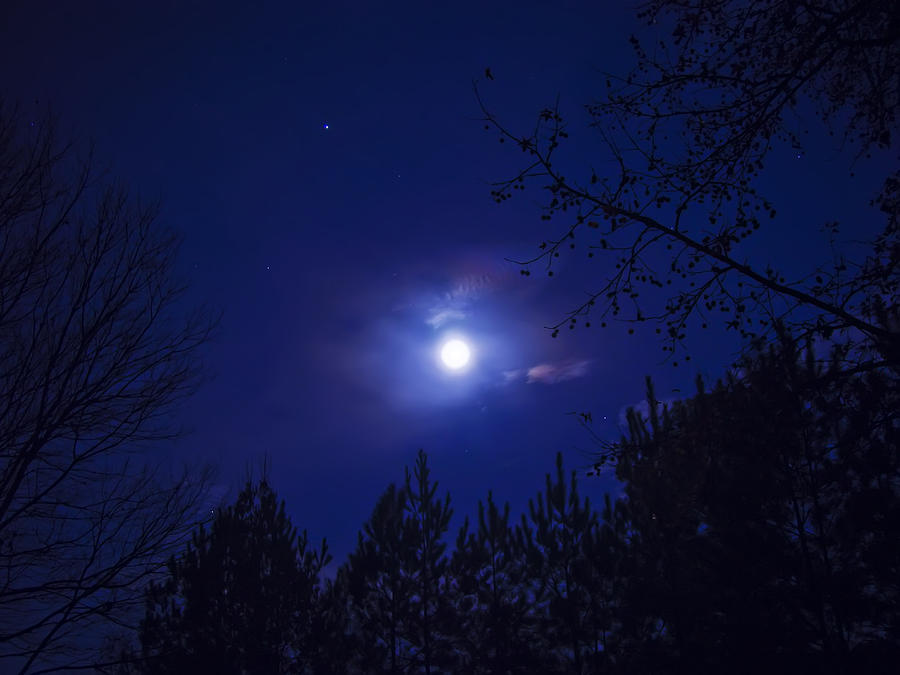 Hazy Moon Photograph by Michael Whitaker