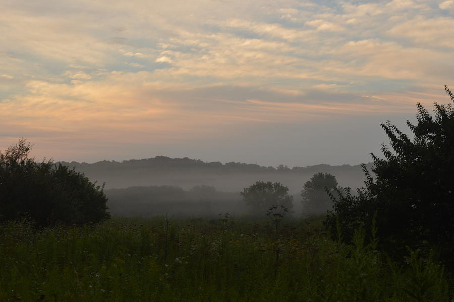 Hazy Morning Photograph by Sharmila Taylor - Pixels