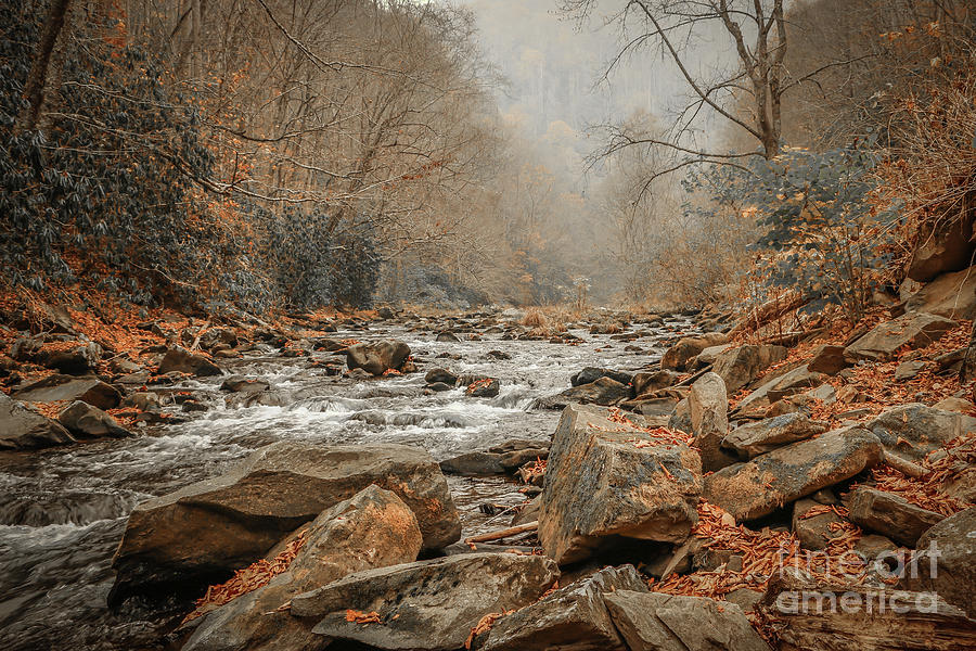 Hazy Mountain Stream #2 Photograph by Tom Claud