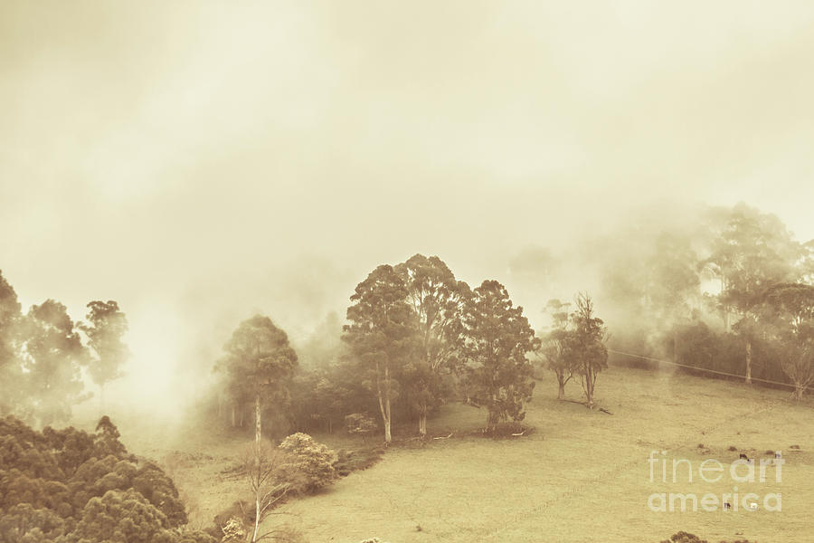Hazy remote woodlands Photograph by Jorgo Photography