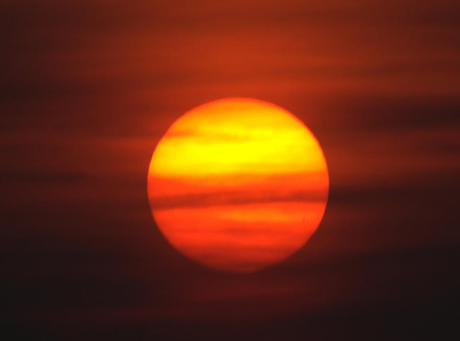 Hazy Sun Photograph By Amy Taylor