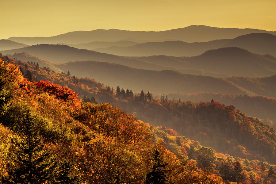 Hazy Sunny Layers in the Smoky Mountains Photograph by Teri Virbickis