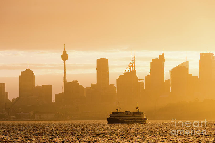 Hazy sunshine on Sydney harbour Photograph by Andrew Michael