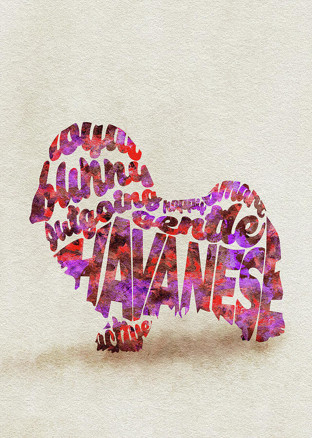 Havanese Dog Watercolor Painting / Typographic Art Painting by Inspirowl Design