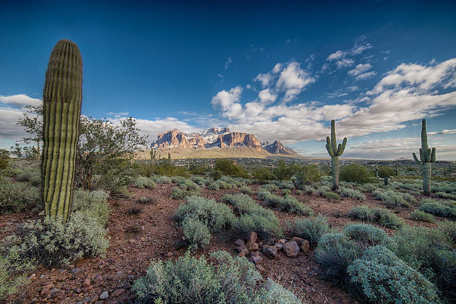 HDR Desert Photograph by Jordan Hernandez - Pixels