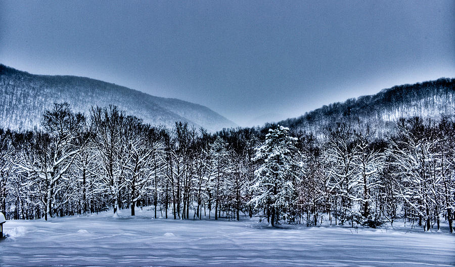 HDR Snow Trees Photograph by Jonny D