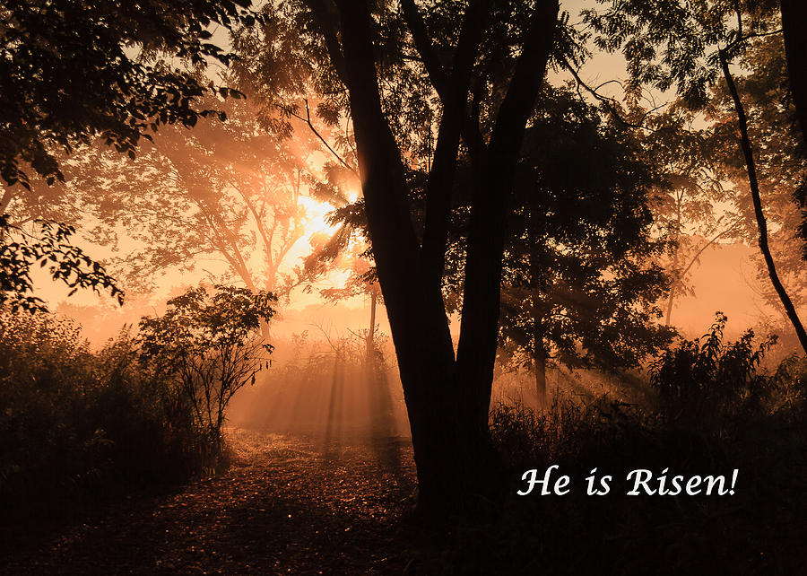 He Is Risen Photograph by Joni Eskridge