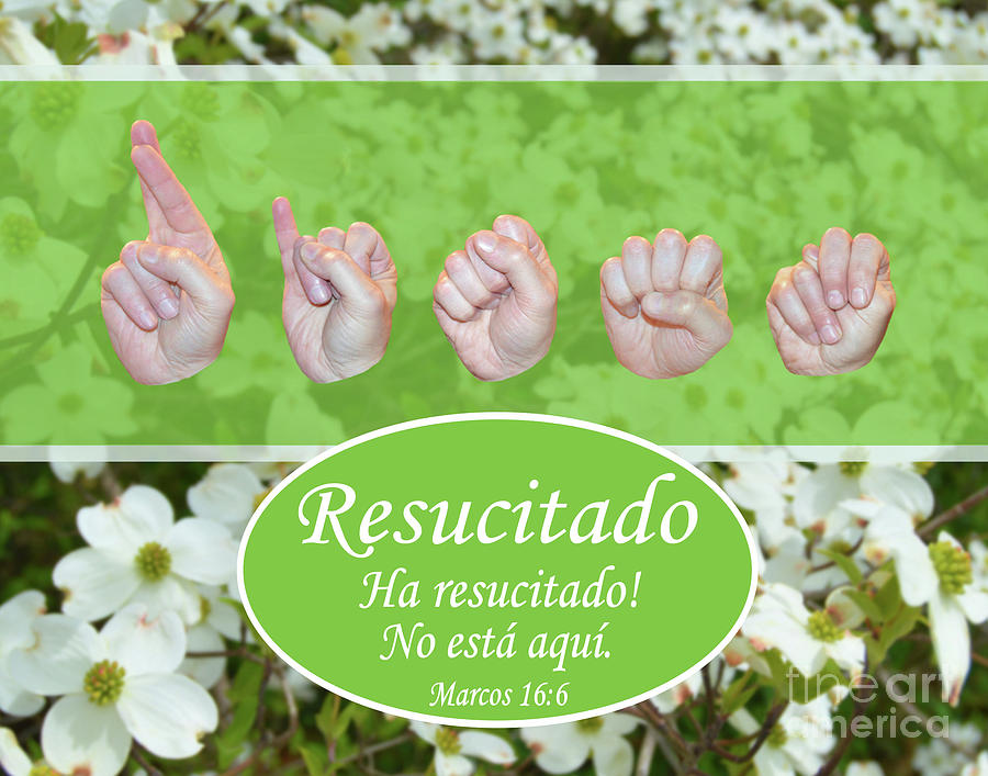 Christian Photograph - He Is Risen Spanish by Masters Hand Collection Christian Photograph - He Is Risen Spanish by Masters Hand Collection