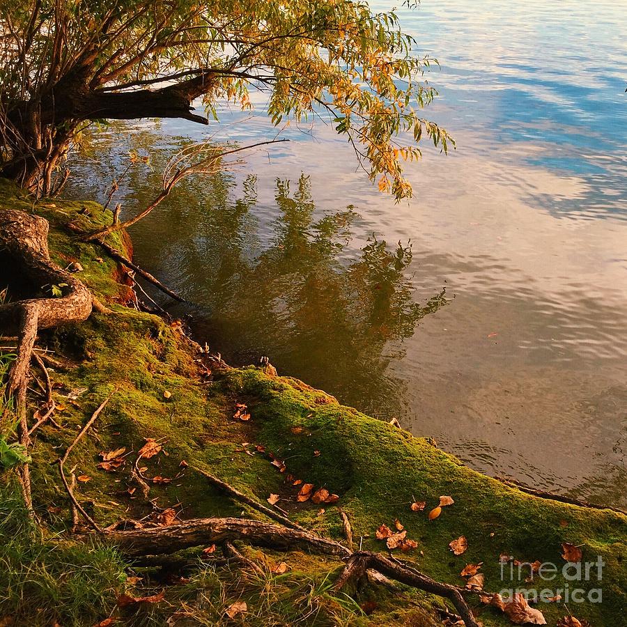 He Leads Me Beside Still Waters by Kristen Kopp He Leads Me Beside Still Waters by Kristen Kopp