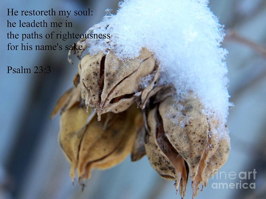 He Restoreth My Soul Photograph by Corinne Elizabeth Cowherd