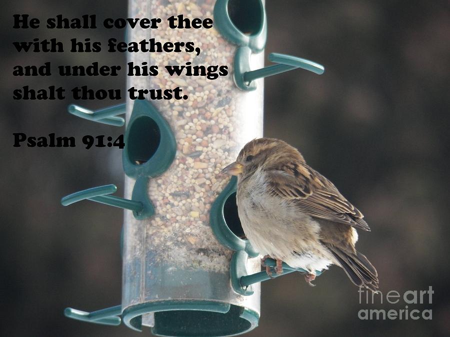 He Shall Cover Thee With His Feathers Photograph by Corinne Elizabeth Cowherd