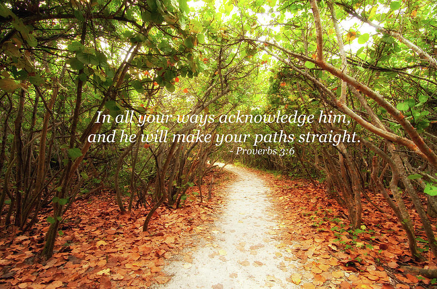 He Will Make Your Paths Straight Photograph by Kim Warden - Fine Art ...