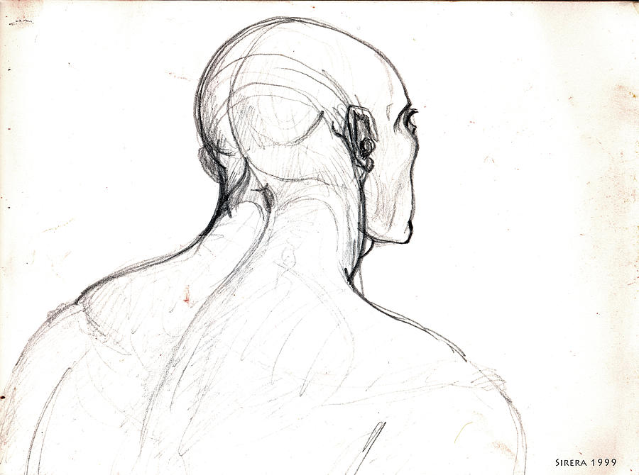 Sketch Drawing - Head, back view by Miquel Sirera