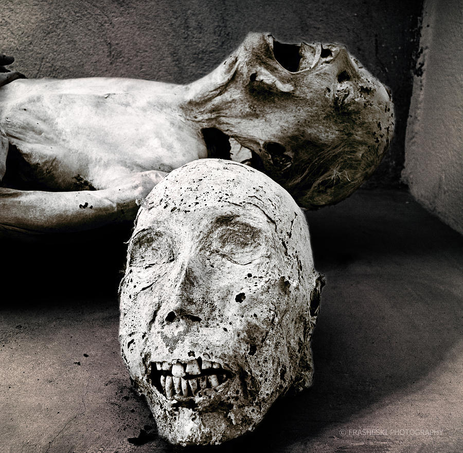 Skull Photograph - Head Body by Andy Frasheski
