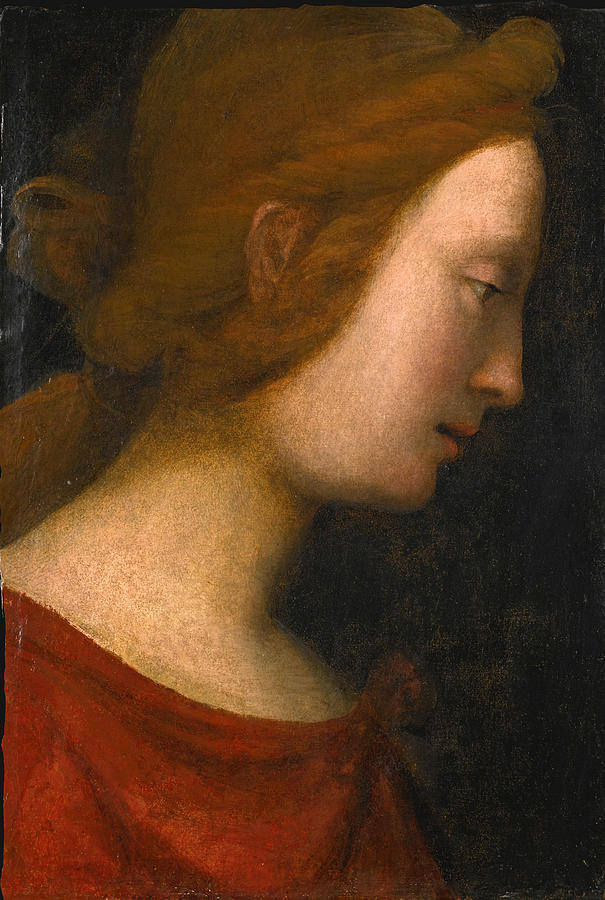 Head of a Female Saint seen in Profile Painting by Fra Bartolomeo