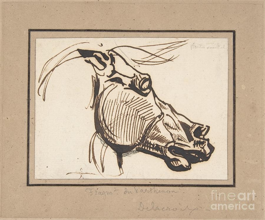Eugene Delacroix Painting - Head of a Horse after the Parthenon by MotionAge Designs