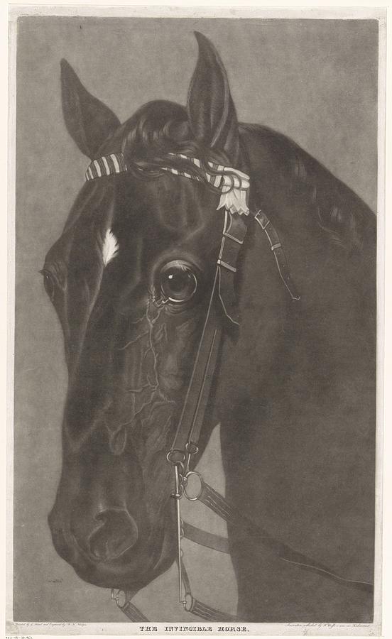 Head Of A Horse With A Bridle, James Newman Hodges, After Guy Head, 1796 - 1821 Painting