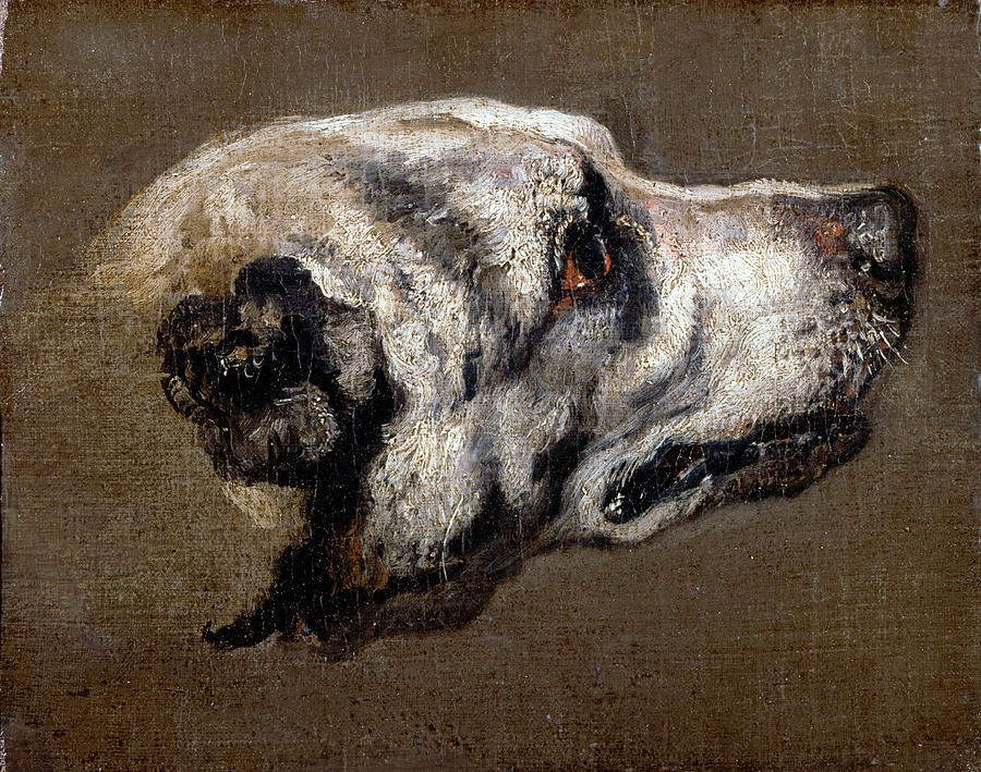 Head of a Hound Painting by Pieter Boel