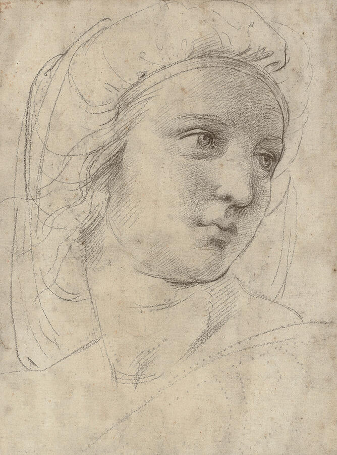 Head of a Muse Drawing by Raphael - Fine Art America