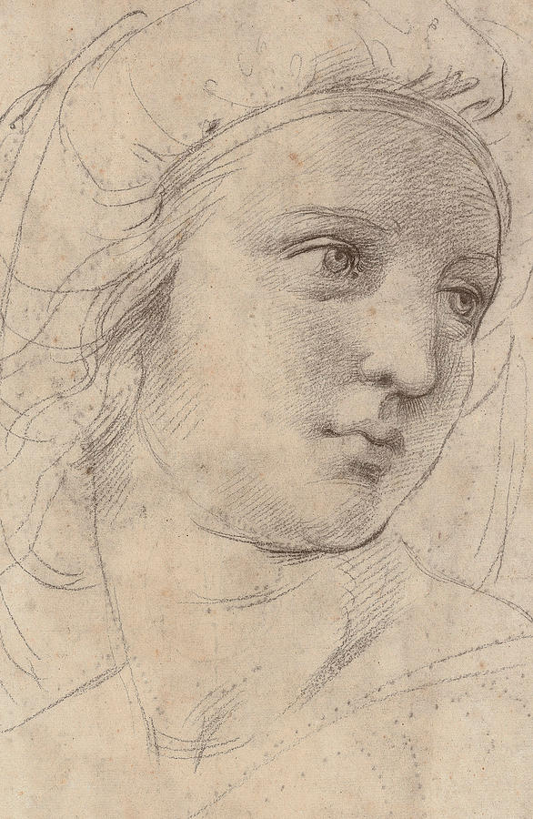 Head Of A Muse Drawing by Raphael