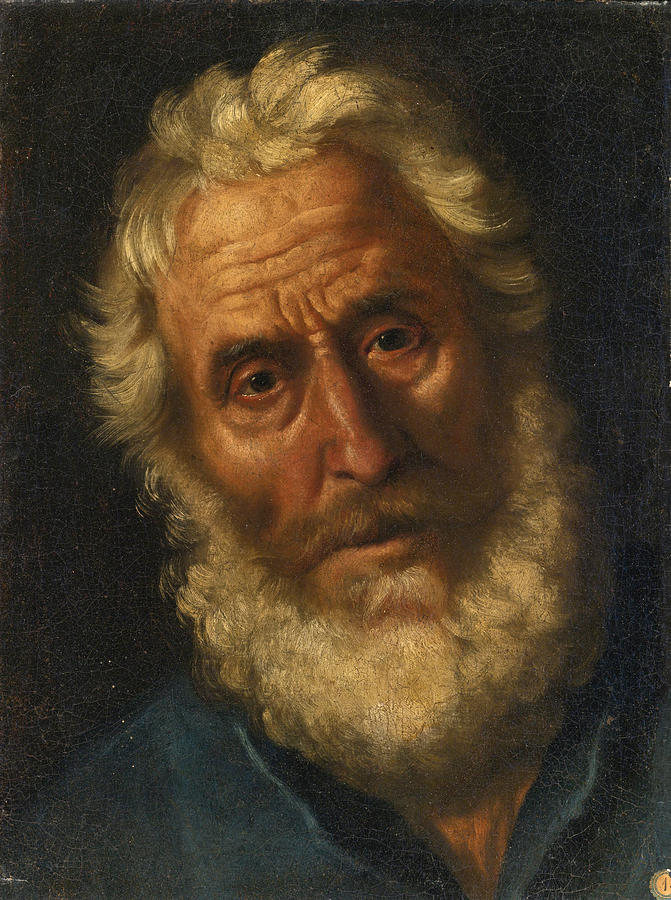Head of a Philosopher Painting by Attributed to Gaspare Traversi