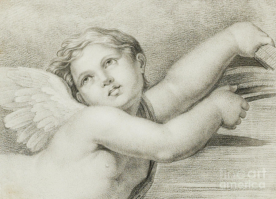 Raphael Pastel - Head of a putto  by Raphael